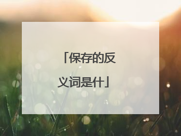 保存的反义词是什