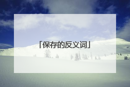 保存的反义词