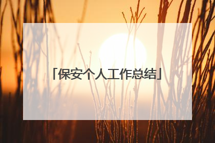 保安个人工作总结