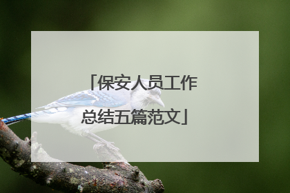 保安人员工作总结五篇范文