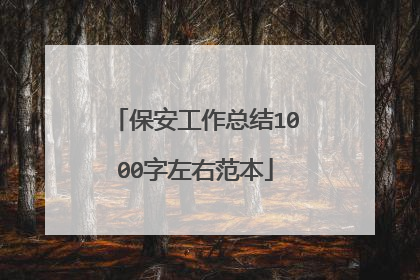 保安工作总结1000字左右范本