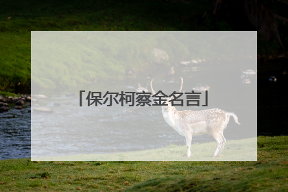 保尔柯察金名言