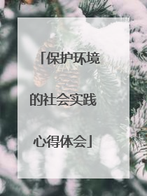 保护环境的社会实践心得体会