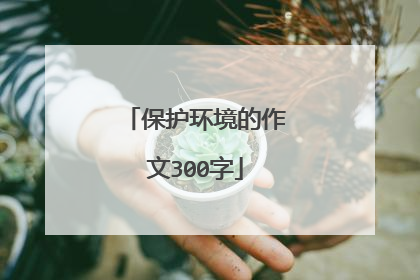保护环境的作文300字