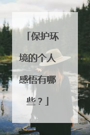 保护环境的个人感悟有哪些?
