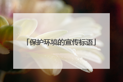 保护环境的宣传标语