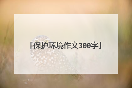 保护环境作文300字