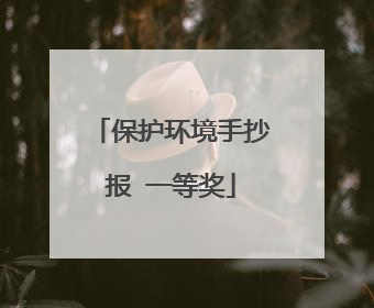 保护环境手抄报 一等奖