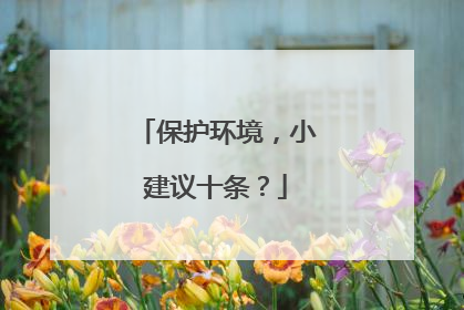 保护环境,小建议十条?