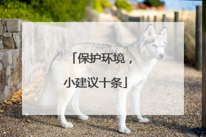 保护环境,小建议十条