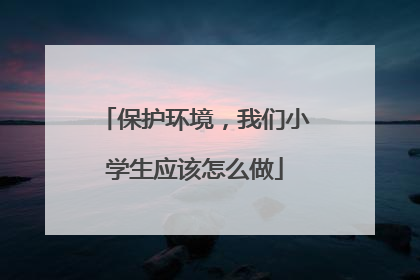 保护环境，我们小学生应该怎么做