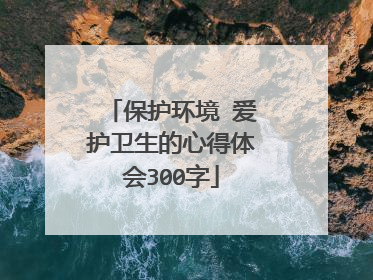 保护环境 爱护卫生的心得体会300字