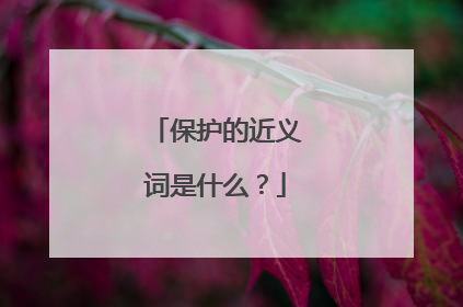 保护的近义词是什么?