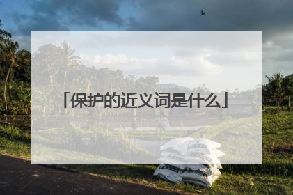 保护的近义词是什么
