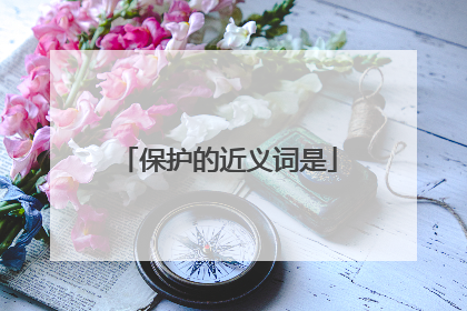 保护的近义词是