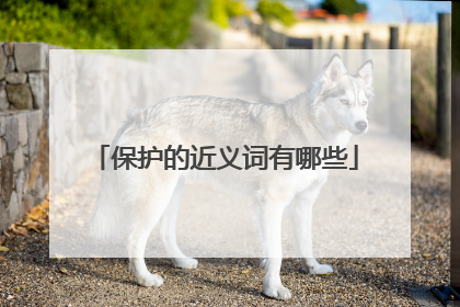 保护的近义词有哪些