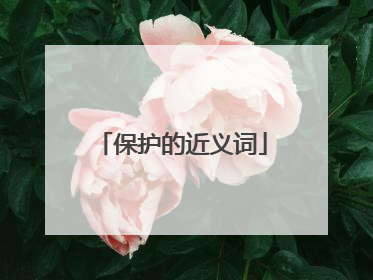 保护的近义词