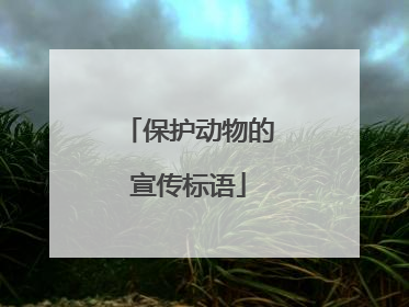保护动物的宣传标语