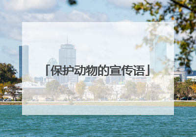保护动物的宣传语