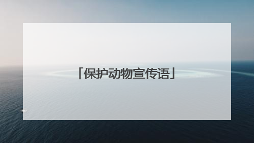 保护动物宣传语