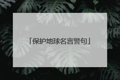 保护地球名言警句