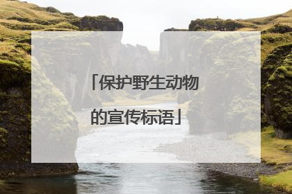 保护野生动物的宣传标语