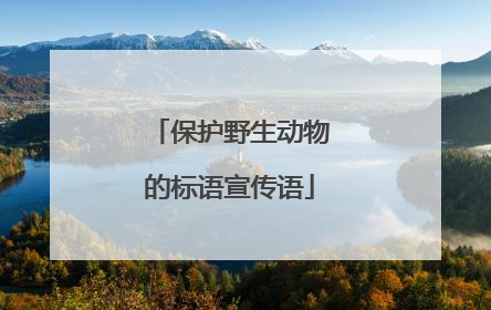 保护野生动物的标语宣传语