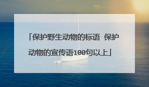 保护野生动物的标语 保护动物的宣传语100句以上