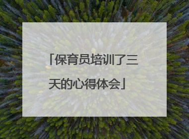 保育员培训了三天的心得体会