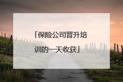 保险公司晋升培训的一天收获