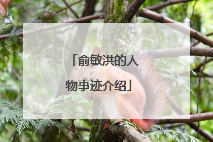 俞敏洪的人物事迹介绍