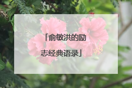 俞敏洪的励志经典语录