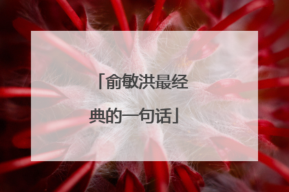 俞敏洪最经典的一句话