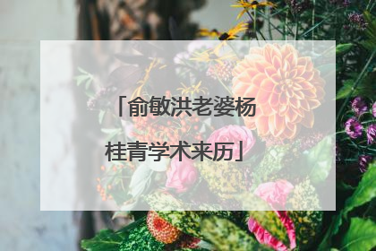 俞敏洪老婆杨桂青学术来历