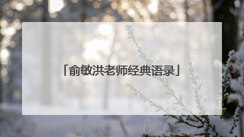 俞敏洪老师经典语录