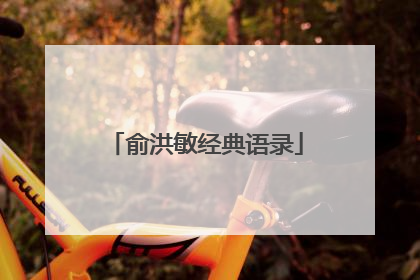 俞洪敏经典语录