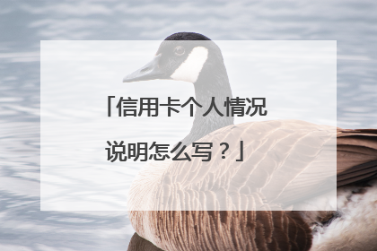 信用卡个人情况说明怎么写？