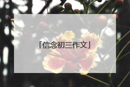信念初三作文