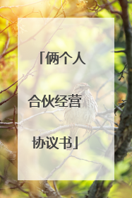 俩个人合伙经营协议书