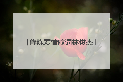 修炼爱情歌词林俊杰