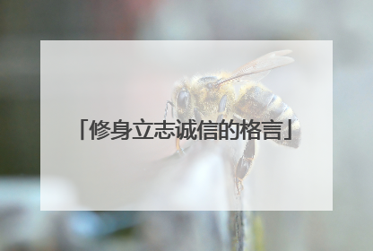 修身立志诚信的格言