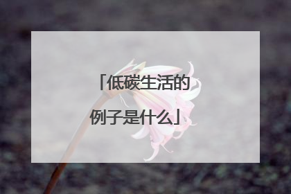 低碳生活的例子是什么