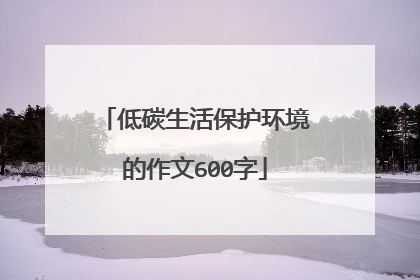 低碳生活保护环境的作文600字