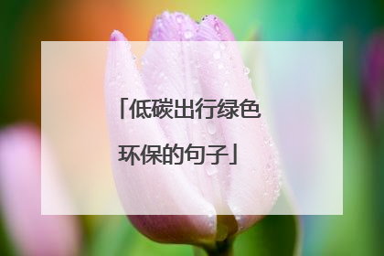 低碳出行绿色环保的句子