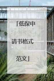 低保申请书格式范文