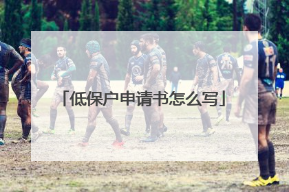 低保户申请书怎么写