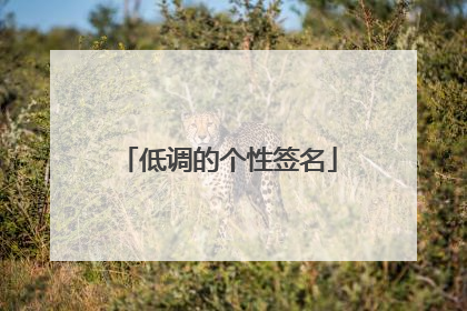 低调的个性签名