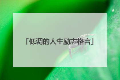 低调的人生励志格言