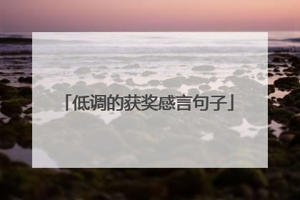 低调的获奖感言句子