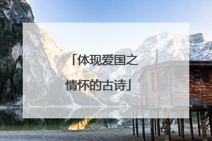 体现爱国之情怀的古诗